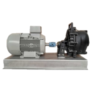 Montaje Bomba Banjo 205PV con motor Siemens/Innomotics sobre bancada inox y unido acoplamiento elástico