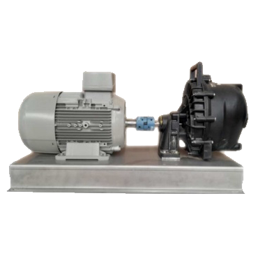 Montaje Bomba Banjo 205PV con motor Siemens/Innomotics sobre bancada inox y unido acoplamiento elástico